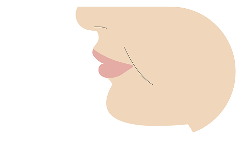 Eライン（横顔の美しさの基準）のイラスト